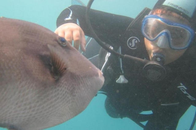  Meeting with a moon fish 